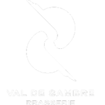 LOGO-VDS-white